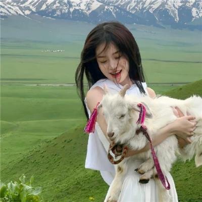 寒枝折不断电影版